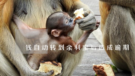 钱自动转到余利宝后造成逾期 钱自动转到余利宝后造成逾期