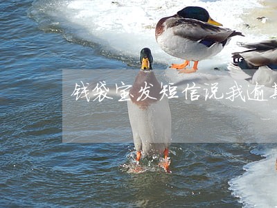 钱袋宝发短信说我逾期 钱袋宝发短信说我逾期