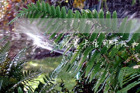 钱转入储蓄卡信用卡没扣款逾期 钱转入储蓄卡信用卡没扣款逾期