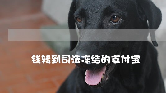 钱转到司法冻结的支付宝 钱转到司法冻结的支付宝