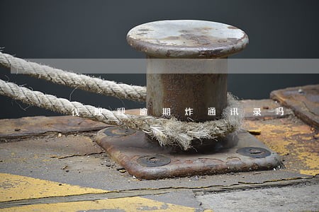 钱迎迎逾期炸通讯录吗 钱迎迎逾期炸通讯录吗