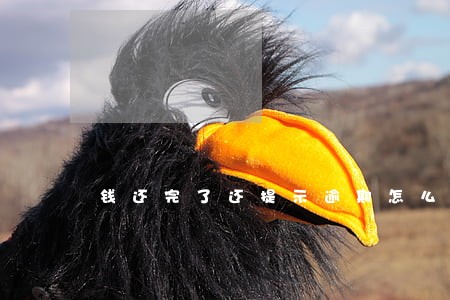 钱还完了还提示逾期怎么办