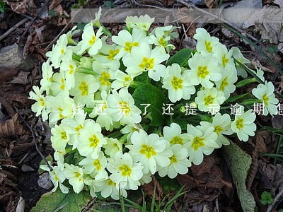 钱还完了还提示逾期怎么回事 钱还完了还提示逾期怎么回事
