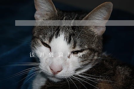 钱进袋逾期费 钱进袋逾期费