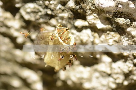 钱进贷逾期一年 钱进贷逾期一年