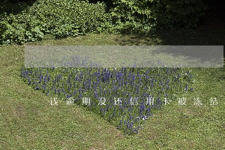 钱逾期没还信用卡被冻结了 钱逾期没还信用卡被冻结了
