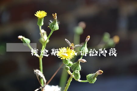 钱逾期进入诉讼阶段 钱逾期进入诉讼阶段