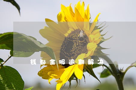 钱都金服逾期解决 钱都金服逾期解决