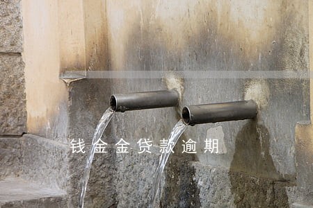钱金金贷款逾期 钱金金贷款逾期