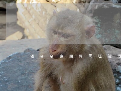钱金金逾期两天还能借吗 钱金金逾期两天还能借吗