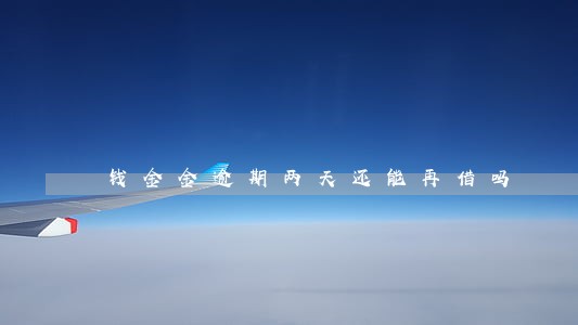 钱金金逾期两天还能再借吗 钱金金逾期两天还能再借吗