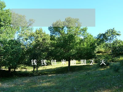 钱钱包米逾期2天 钱钱包米逾期2天