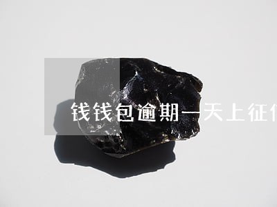 钱钱包逾期一天上征信吗 钱钱包逾期一天上征信吗
