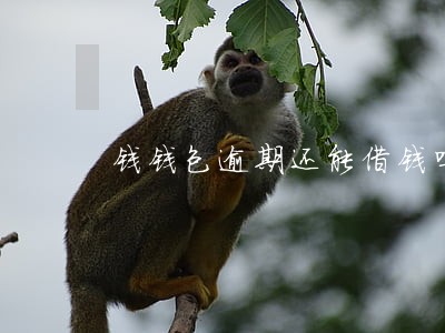 钱钱包逾期还能借钱吗 钱钱包逾期还能借钱吗