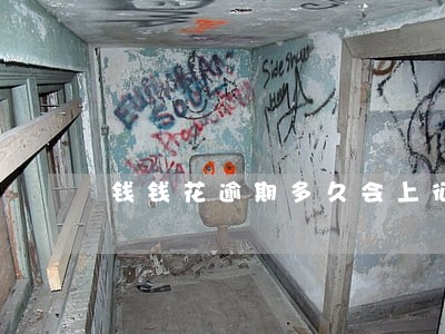 钱钱花逾期多久会上征信 钱钱花逾期多久会上征信