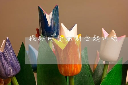 钱钻网贷逾期会起诉吗 钱钻网贷逾期会起诉吗