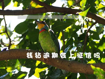 钱钻逾期会上征信吗 钱钻逾期会上征信吗