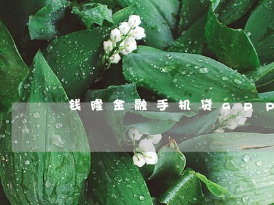 钱隆金融手机贷app逾期3年