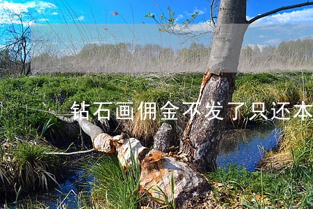 钻石画佣金不发了只还本金 钻石画佣金不发了只还本金
