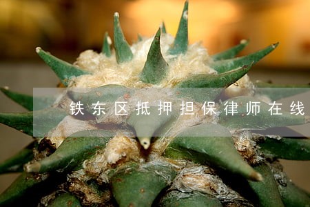 铁东区抵押担保律师在线免费咨询 铁东区抵押担保律师在线免费咨询