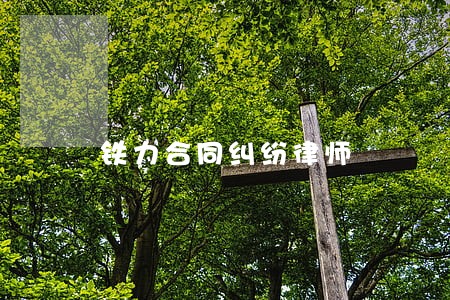 铁力合同纠纷律师 铁力合同纠纷律师