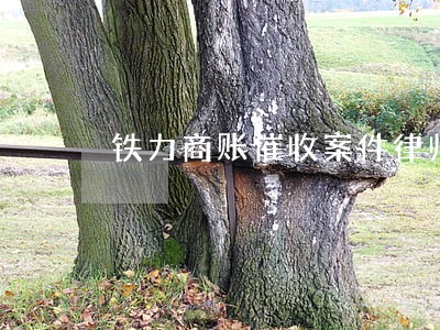 铁力商账催收案件律师 铁力商账催收案件律师