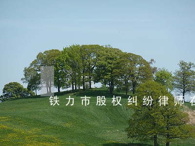 铁力市股权纠纷律师在线免费咨询 铁力市股权纠纷律师在线免费咨询