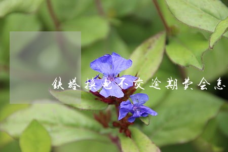 铁塔换电不交逾期费会怎么样 铁塔换电不交逾期费会怎么样