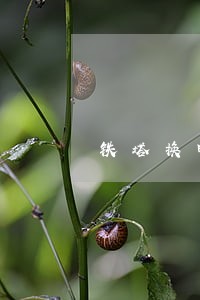 铁塔换电逾期缴费合理吗 铁塔换电逾期缴费合理吗