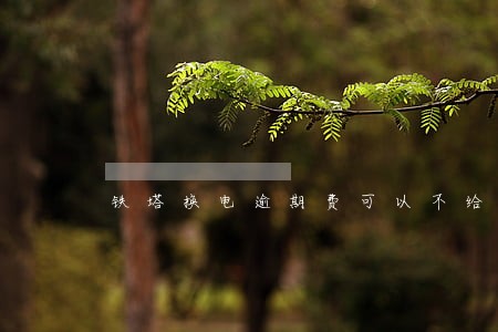 铁塔换电逾期费可以不给不 铁塔换电逾期费可以不给不
