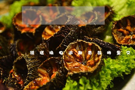 铁塔换电逾期费在哪里交 铁塔换电逾期费在哪里交