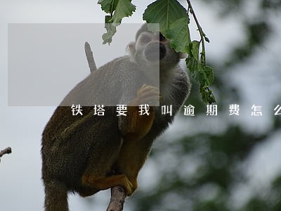 铁塔要我叫逾期费怎么办 铁塔要我叫逾期费怎么办