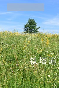 铁塔逾期扣费合法吗 铁塔逾期扣费合法吗