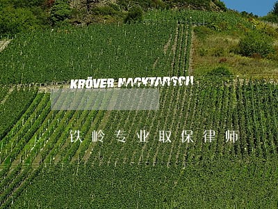 铁岭专业取保律师 铁岭专业取保律师