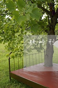 铁岭刑事事务律师咨询 铁岭刑事事务律师咨询
