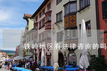铁岭地区有法律咨询的吗 铁岭地区有法律咨询的吗