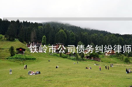 铁岭市公司债务纠纷律师哪家专业