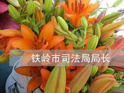 铁岭市司法局局长