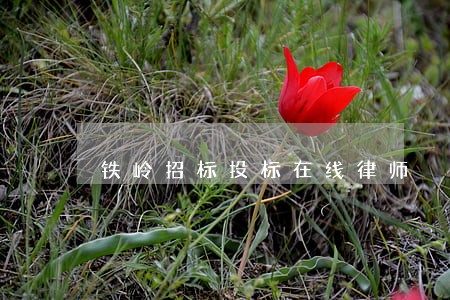 铁岭招标投标在线律师 铁岭招标投标在线律师