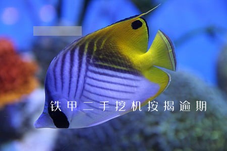 铁甲二手挖机按揭逾期 铁甲二手挖机按揭逾期