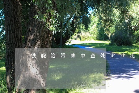 铁腕治污集中查处企业违法行为 铁腕治污集中查处企业违法行为