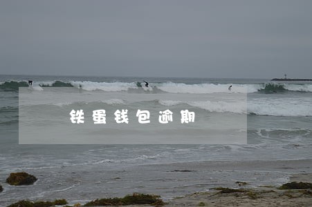 铁蛋钱包逾期 铁蛋钱包逾期