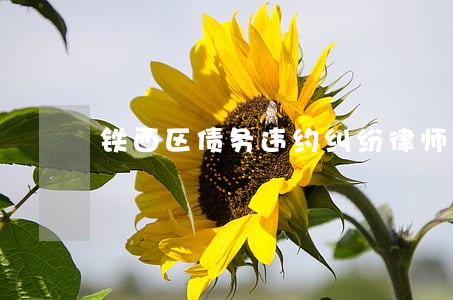 铁西区债务违约纠纷律师咨询电话 铁西区债务违约纠纷律师咨询电话