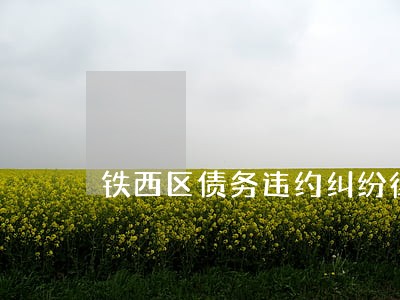 铁西区债务违约纠纷律师哪家强 铁西区债务违约纠纷律师哪家强