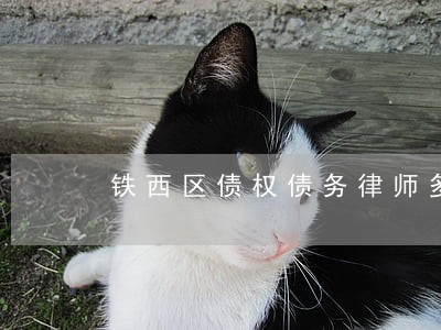 铁西区债权债务律师多少钱 铁西区债权债务律师多少钱