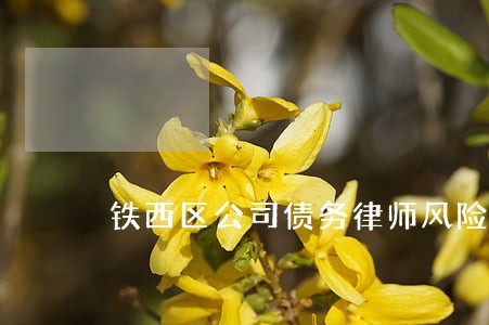 铁西区公司债务律师风险代理 铁西区公司债务律师风险代理