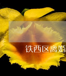 铁西区离婚债务纠纷律师收费