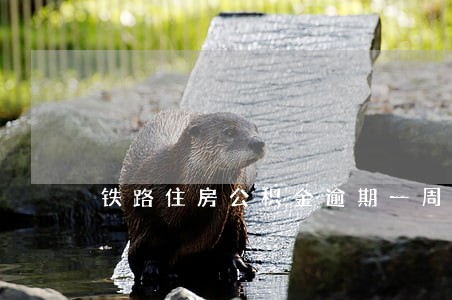 铁路住房公积金逾期一周 铁路住房公积金逾期一周