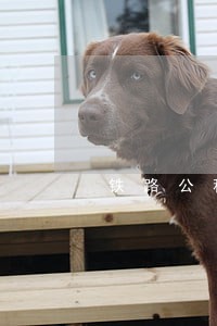 铁路公积金还款逾期能查到吗 铁路公积金还款逾期能查到吗