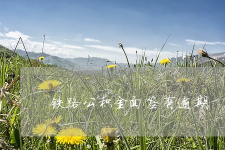 铁路公积金面签有逾期